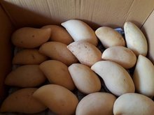 Boxed mangos